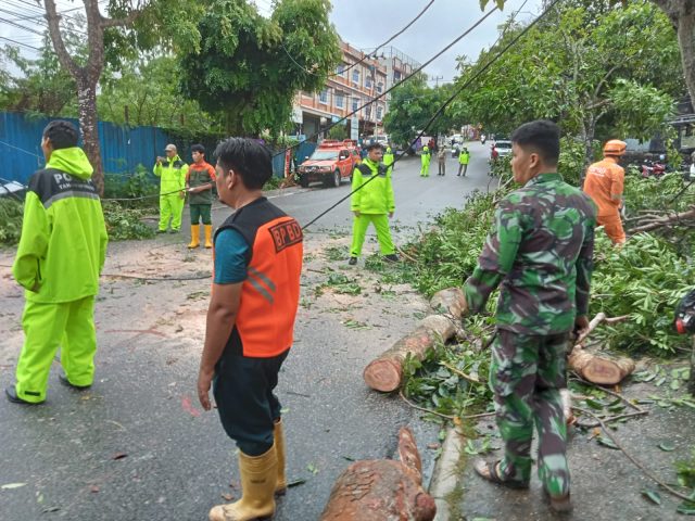 Proses evakuasi pohon tumbang di Jln Engku Putri, Selasa (11/07/2023)