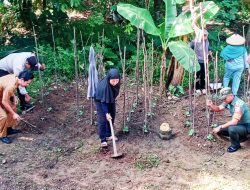 Babinsa Kelurahan Melayu Kota Piring Ikut Bantu Penanaman Sayuran Dengan Kelompok Tani Sekar Wangi