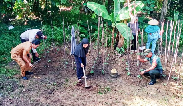 Babinsa Kelurahan Melayu Kota Piring ikut membantu dalam penanaman sayuran, Rabu (19/07/2023)