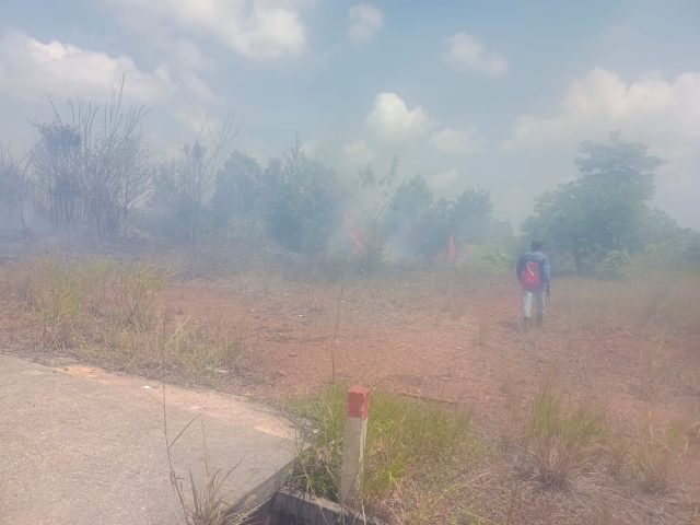 Lokasi terjadinya kebakaran hutan di wilayah Senggarang, Minggu (30/07/2023)