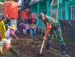 Atasi Hanpangan, Sertu Nurdin Kama Lakukan Goro Gulma