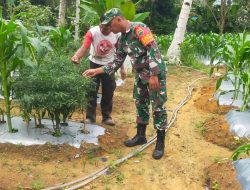 Jaga Hanpangan Pasokan Pokok, Sertu Supriyadi Lakukan Komsos