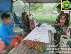 Tingkatkan Hanpangan, Serda Hardiansyah Lakukan Komsos Dengan Petani Cabai