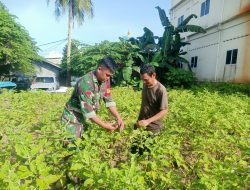 Pertemuan Dengan Pemilik Kebun Terong, Praka Khairul Sefriandi Lakukan Komsos