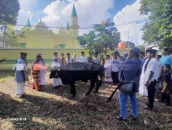 Babinsa Penyengat Memonitoring Penyerahan Sapi Qurban dan Sholat idul Adha