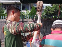 Babinsa Kampung Bugis Ikuti Pemotongan Hewan Qurban