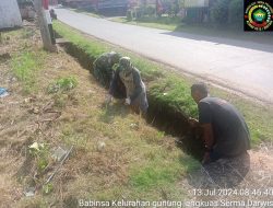 Jaga Kebersihan, Babinsa Gunung Lengkuas Koramil 02 Bintim Lakukan Goro