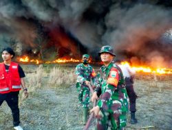 Babinsa Kijang Kota Koramil 02 Bintim Bantu Padamkan Api Di Lahan Ex Tambang Batu Granit