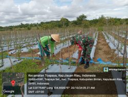 Komsos Dengan Kelompok Tani, Babinsa Sei Enam Ajak Manfaatkan Lahan Tidur